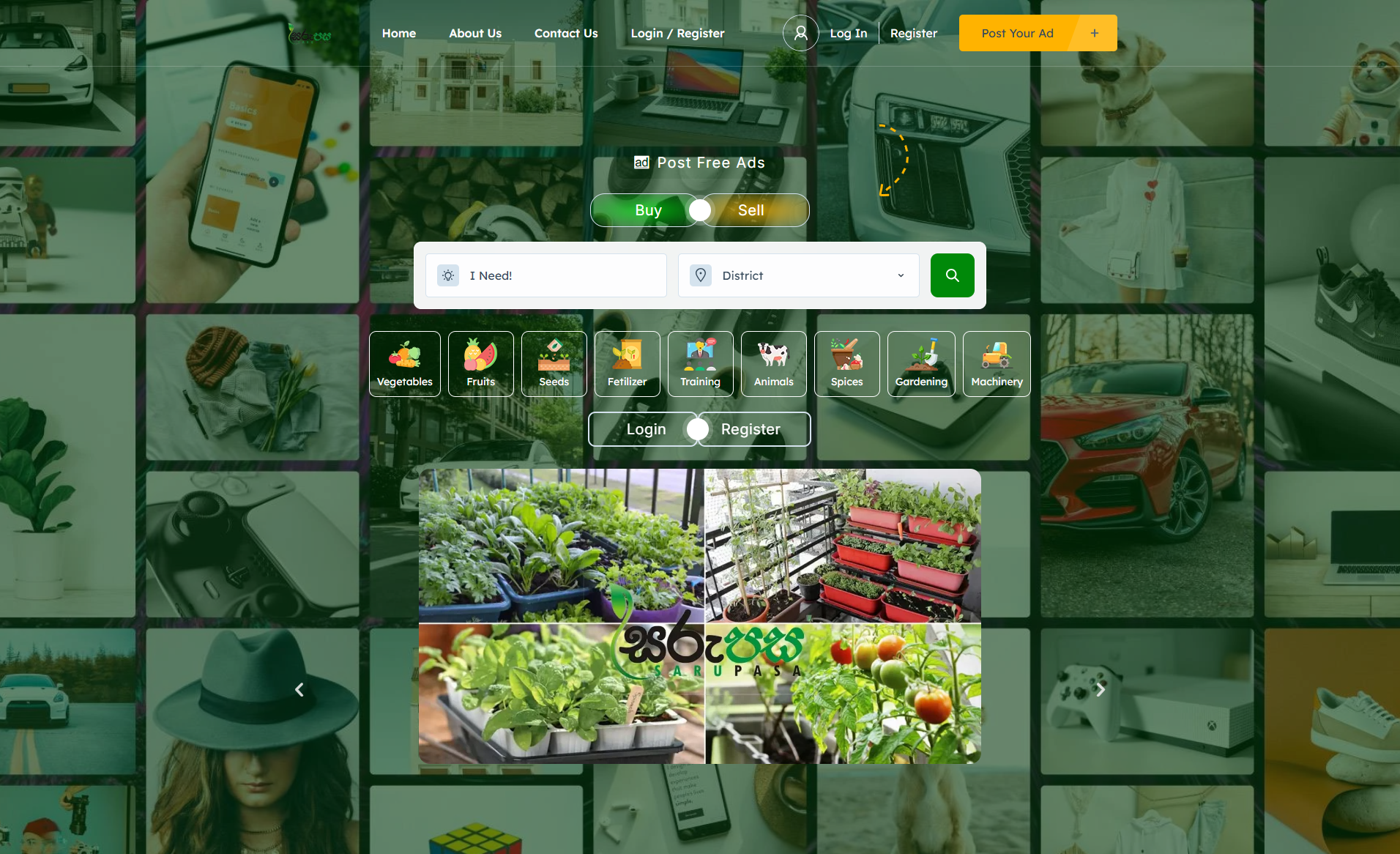 WordPress Development